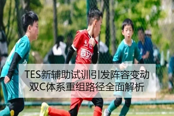 TES新辅助试训引发阵容变动 双C体系重组路径全面解析 - xingkong.com